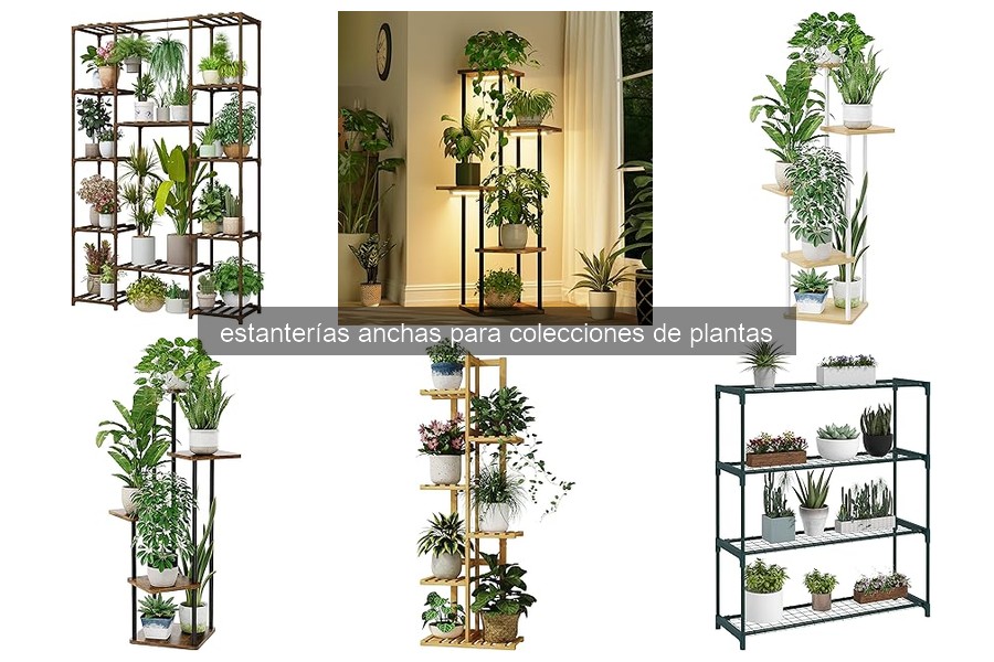 Problemas comunes con estanterías anchas para plantas y soluciones