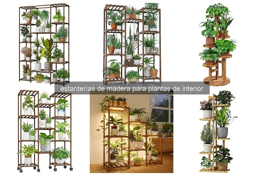 Problemas comunes con estanterías de madera para plantas