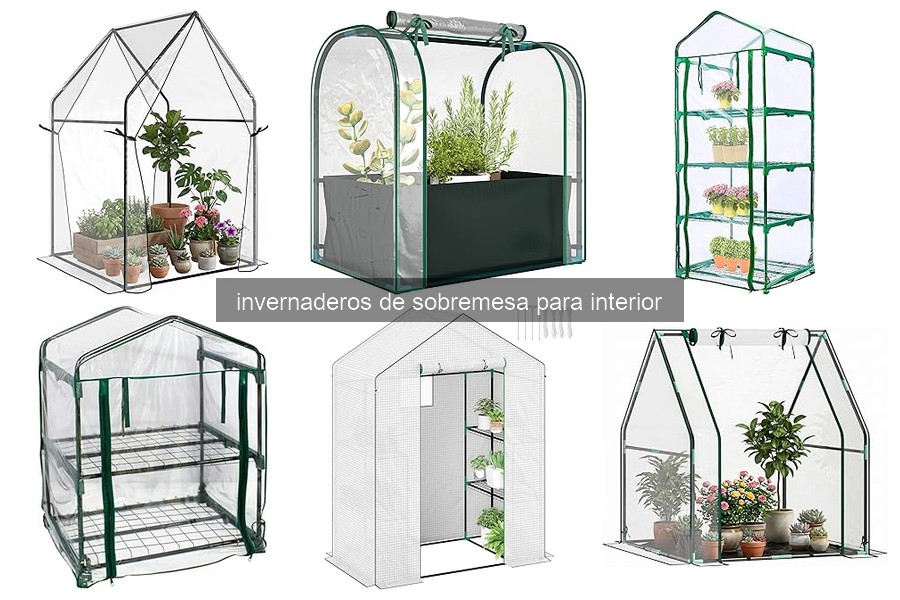 Problemas comunes con invernaderos de sobremesa y soluciones
