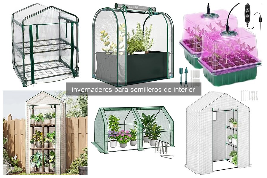 Problemas comunes con invernaderos para semilleros de interior