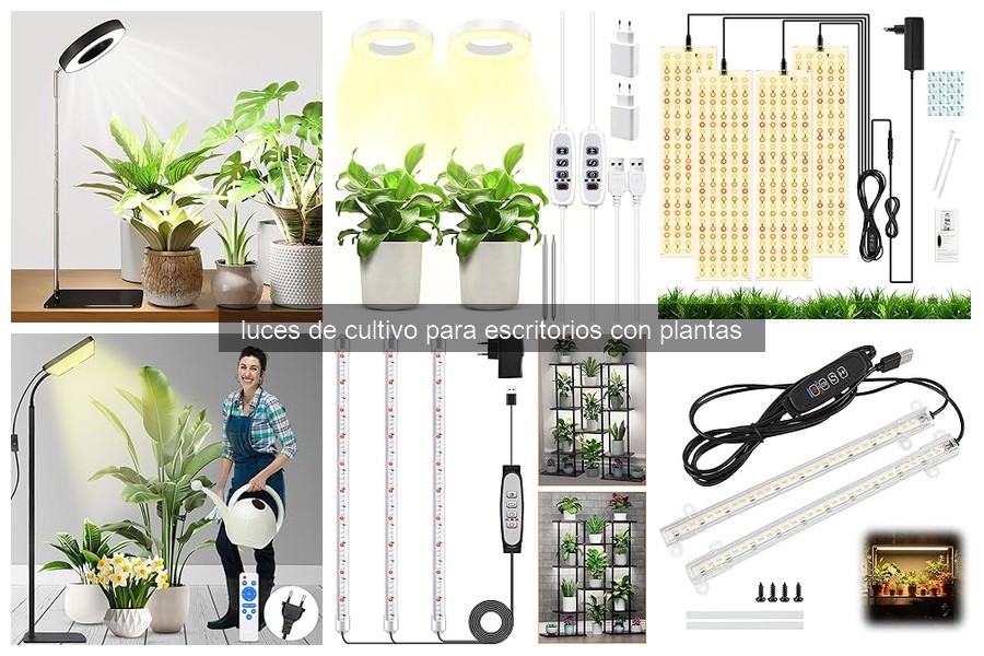 Problemas comunes con luces de cultivo en escritorios
