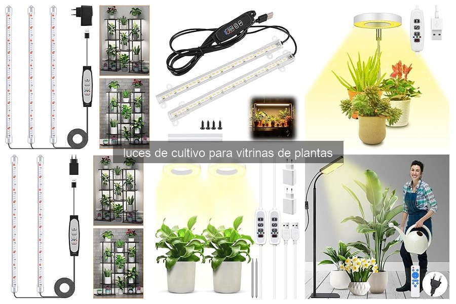 Problemas comunes con luces de cultivo y cómo solucionarlos