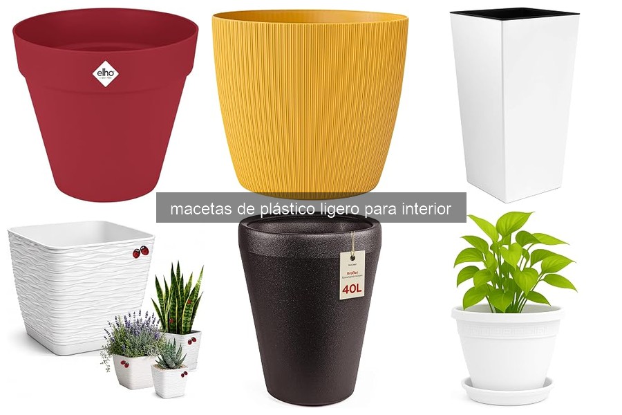 Problemas Comunes con Macetas de Plástico Ligero y Soluciones