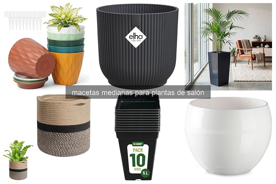 Problemas comunes con macetas medianas para plantas de salón