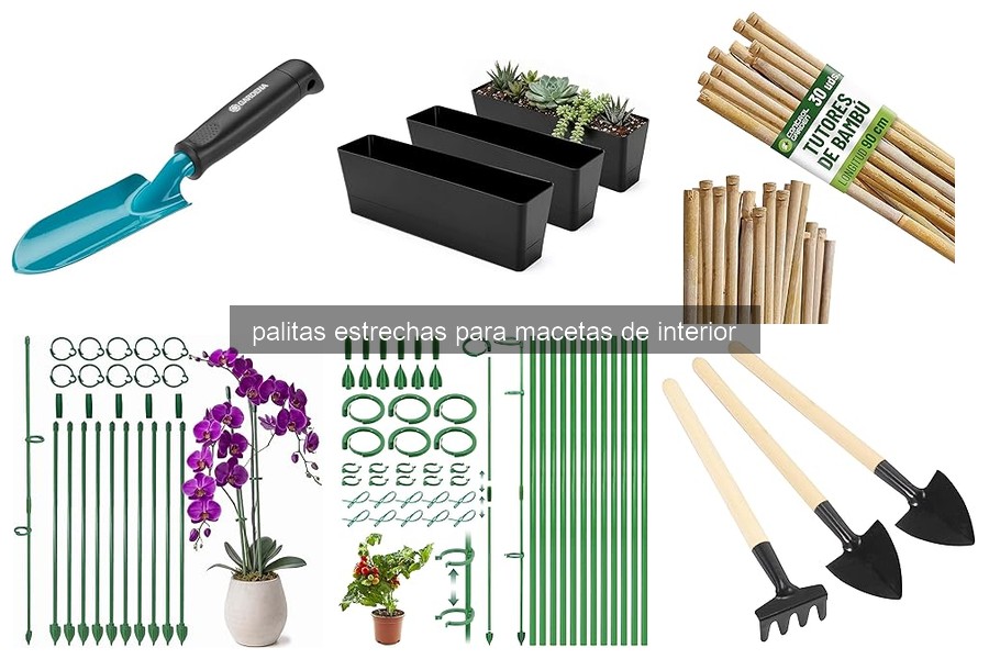 Problemas comunes con palitas estrechas para macetas y soluciones