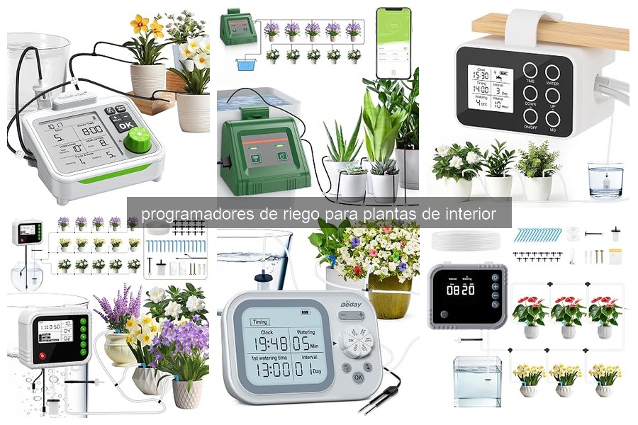 Problemas comunes con programadores de riego y soluciones
