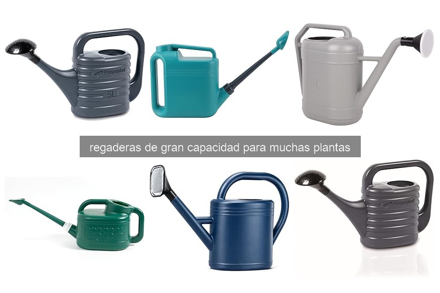 Problemas comunes con regaderas de gran capacidad y soluciones