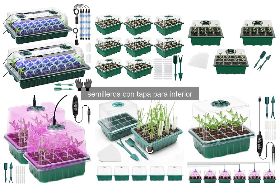 Problemas comunes con semilleros con tapa y soluciones efectivas