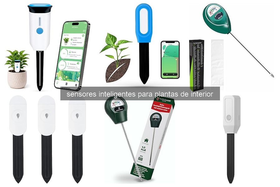 Problemas comunes con sensores inteligentes para plantas de interior