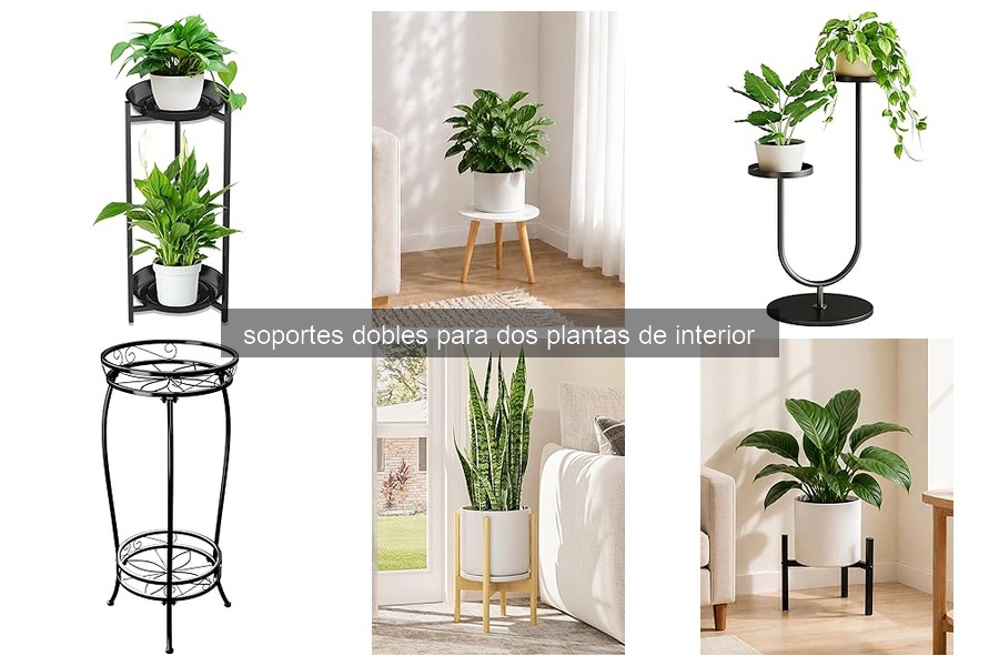 Problemas comunes con soportes dobles para plantas y soluciones