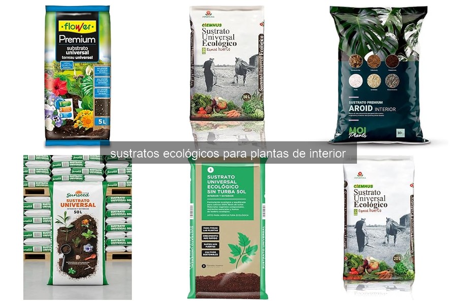 Problemas comunes con sustratos ecológicos para plantas