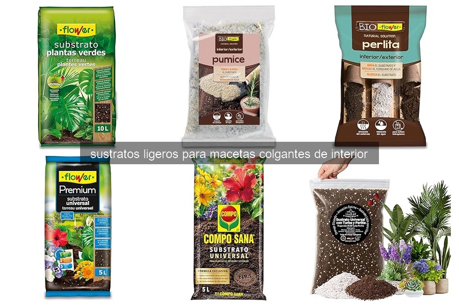 Problemas comunes con sustratos ligeros en macetas colgantes