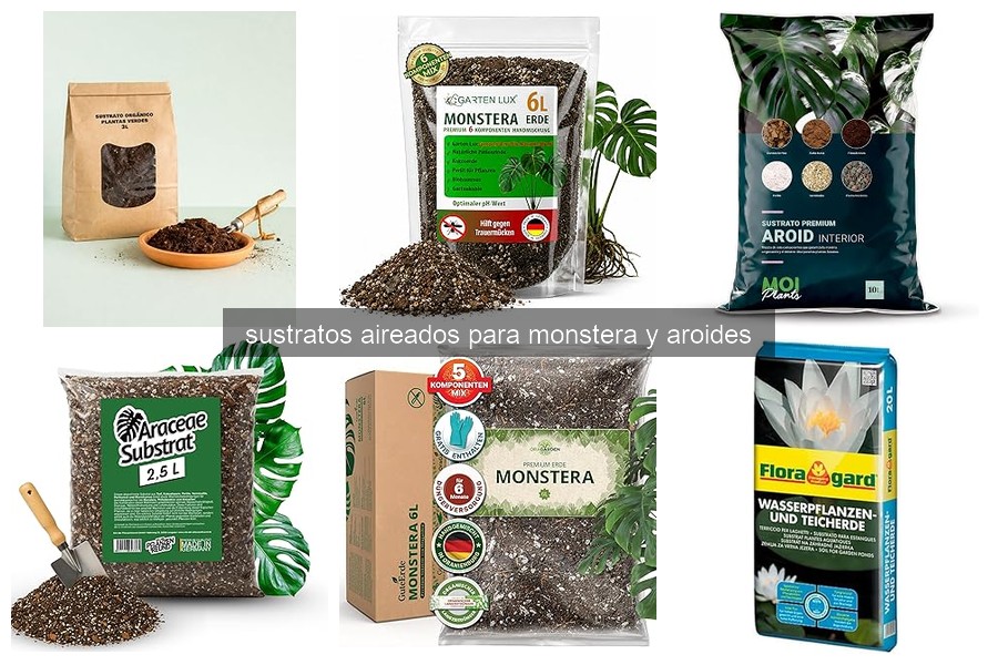 Problemas comunes con sustratos para Monstera y soluciones