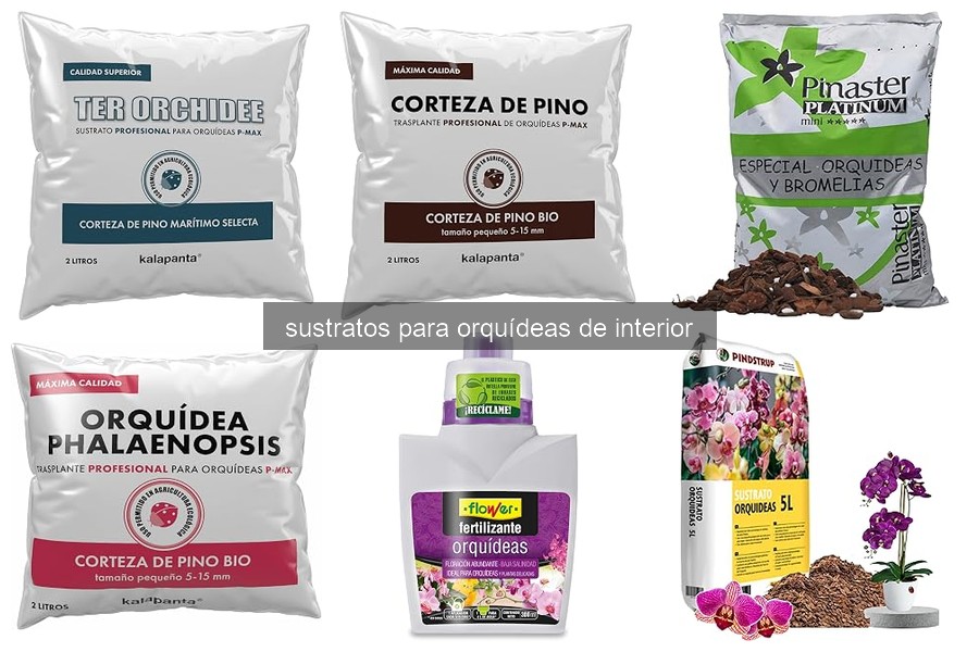 Problemas Comunes con Sustratos para Orquídeas y Soluciones
