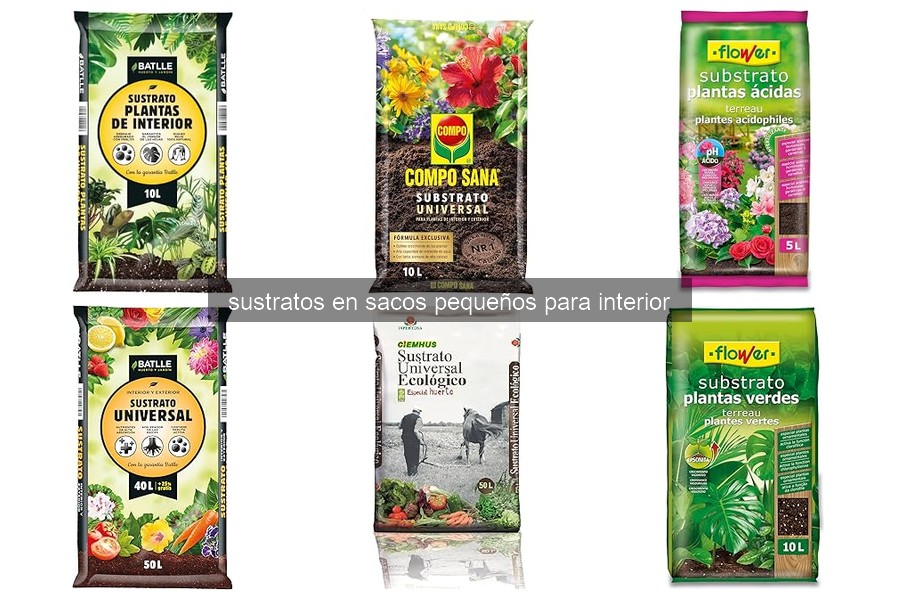 Problemas comunes con sustratos para plantas de interior