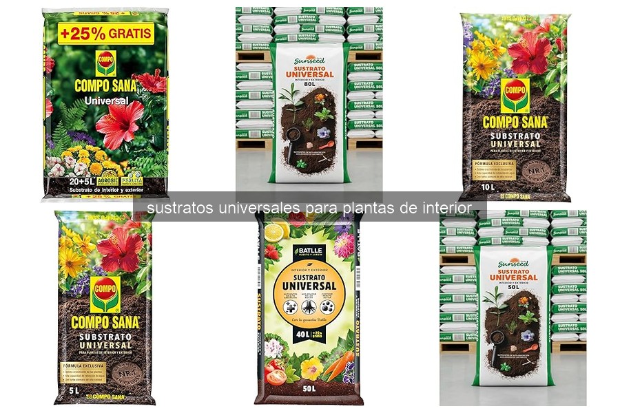 Problemas comunes con sustratos universales para plantas