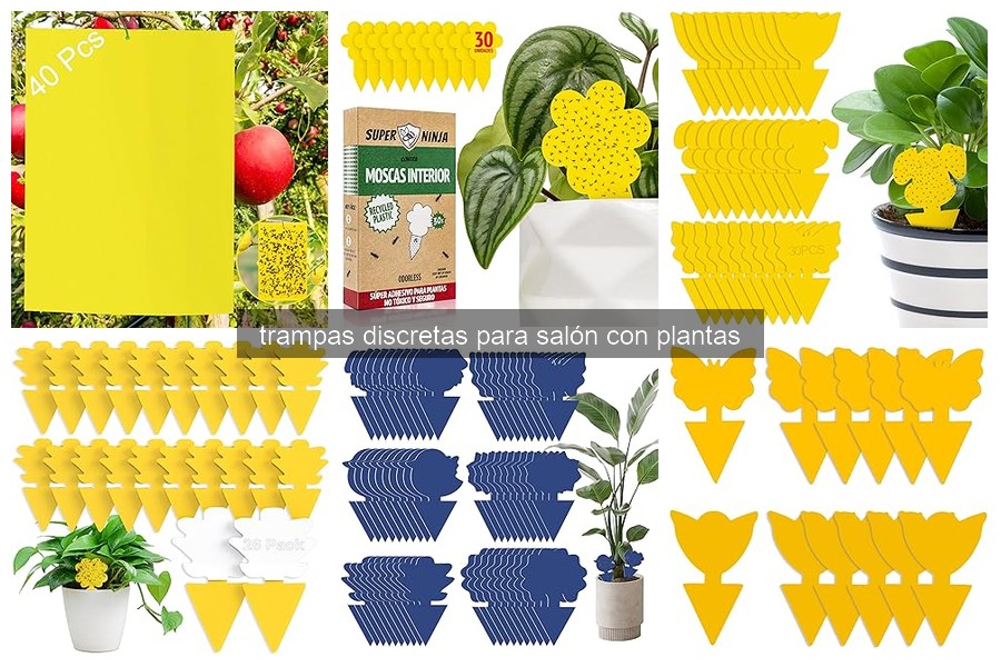 Problemas comunes con trampas discretas para plantas en el salón