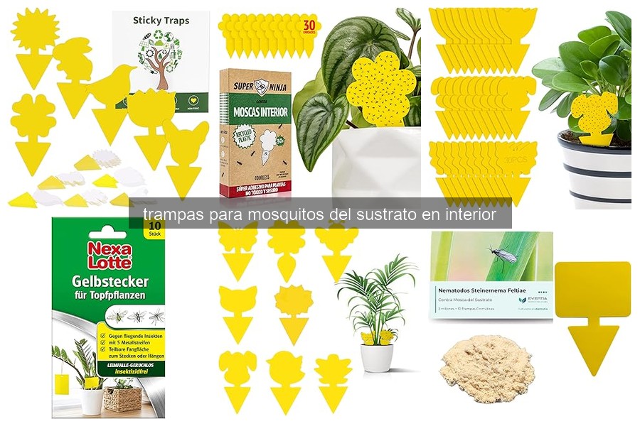 Problemas Comunes con Trampas para Mosquitos en Sustrato