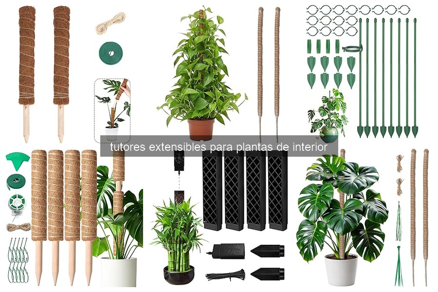 Problemas comunes con tutores extensibles para plantas de interior