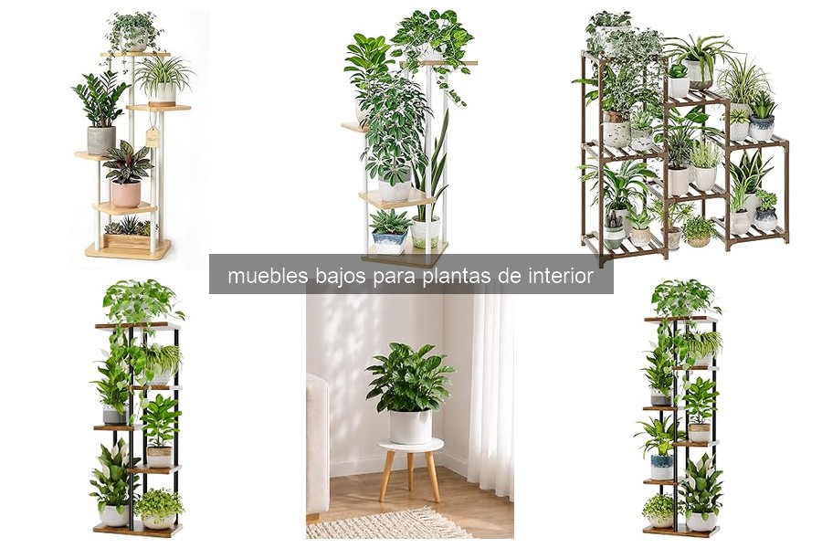 Problemas comunes de muebles bajos para plantas y soluciones