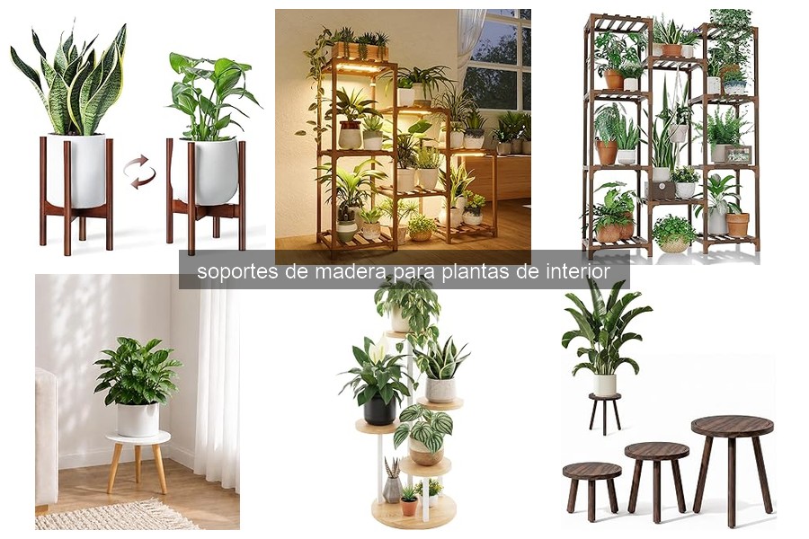 Problemas comunes de soportes de madera para plantas