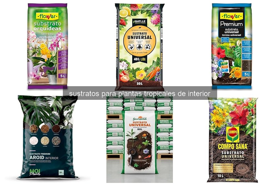 Problemas Comunes de Sustratos para Plantas Tropicales
