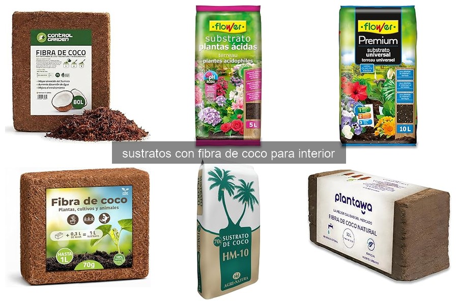 Problemas comunes del sustrato de fibra de coco y soluciones