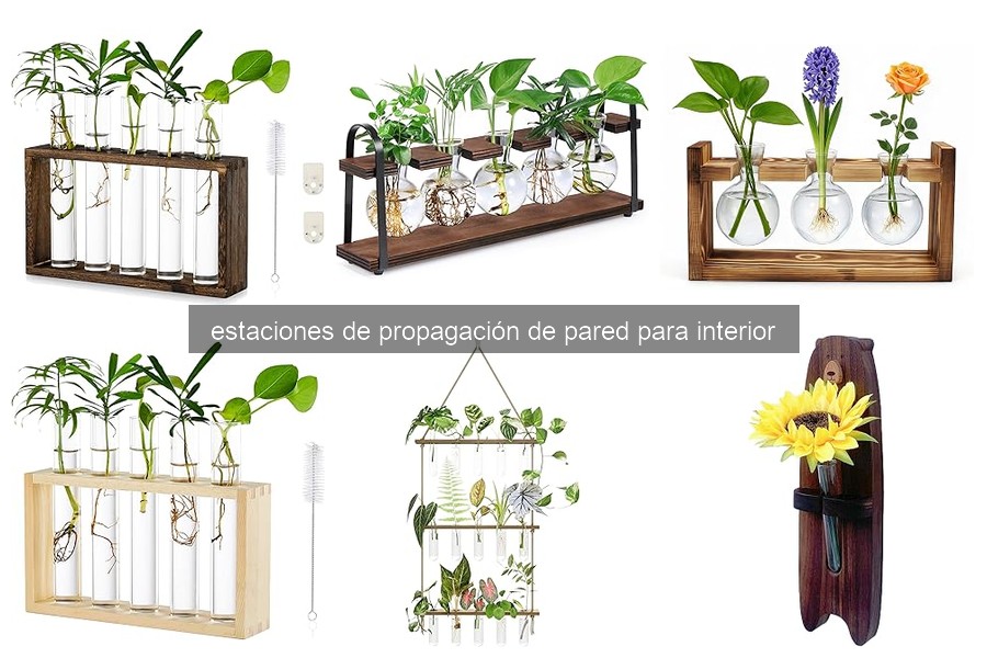 Problemas comunes en estaciones de propagación de pared y soluciones