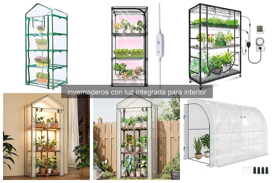 Problemas comunes en invernaderos con luz integrada y soluciones