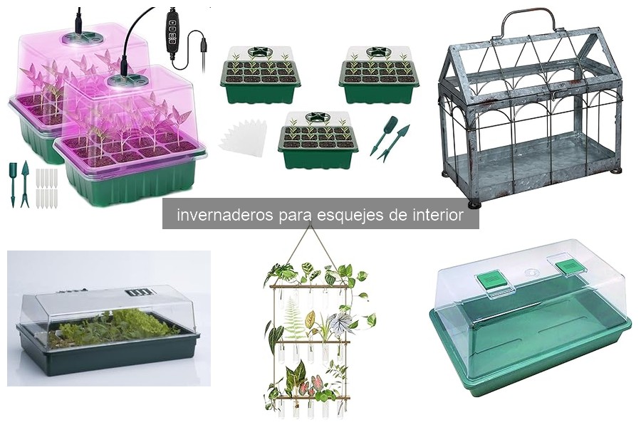 Problemas comunes en invernaderos para esquejes y soluciones