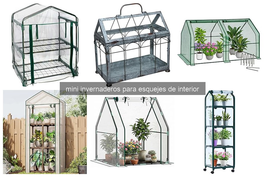 Problemas comunes en mini invernaderos para esquejes y soluciones