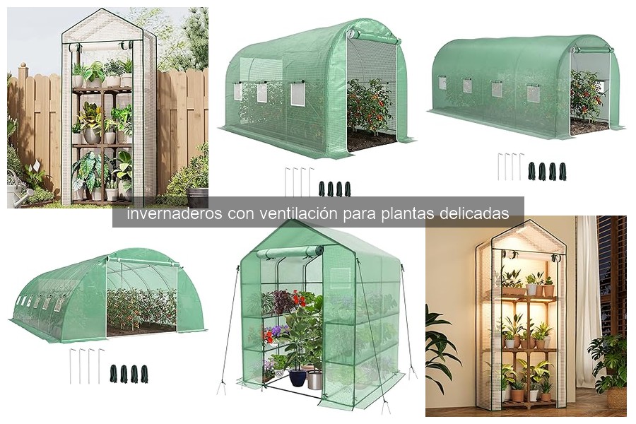 Problemas comunes y soluciones en invernaderos con ventilación