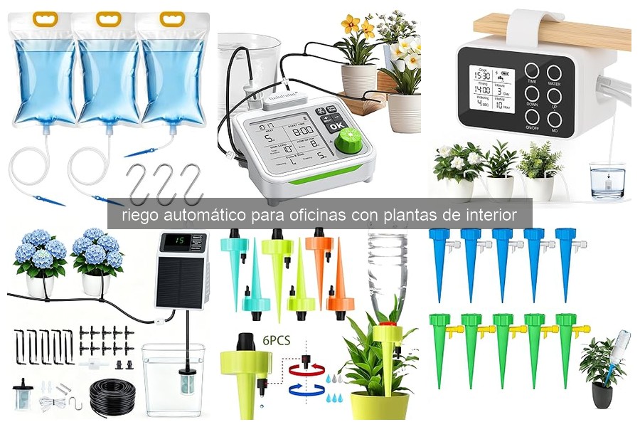 ¿Qué es el riego automático para plantas de interior?