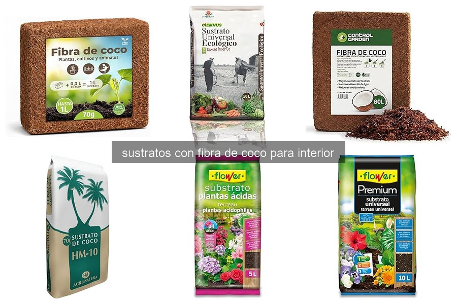 ¿Qué es el sustrato de fibra de coco y sus beneficios?