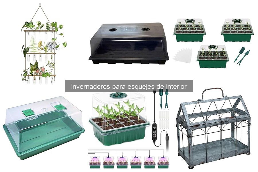¿Qué es un invernadero para esquejes de interior?