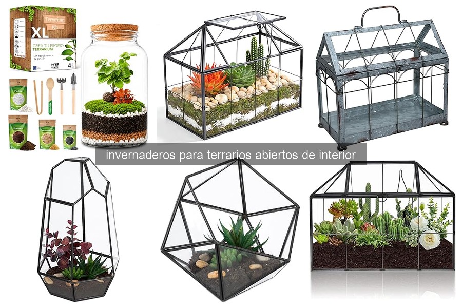 ¿Qué es un invernadero para terrarios abiertos de interior?