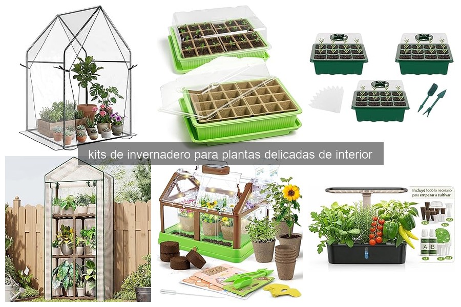 ¿Qué es un kit de invernadero para plantas delicadas?