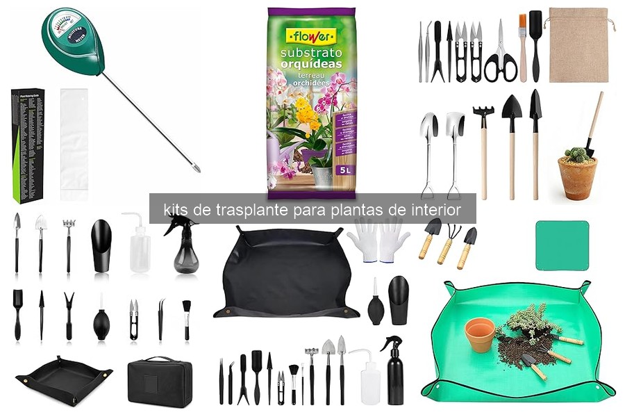 ¿Qué es un kit de trasplante para plantas de interior?