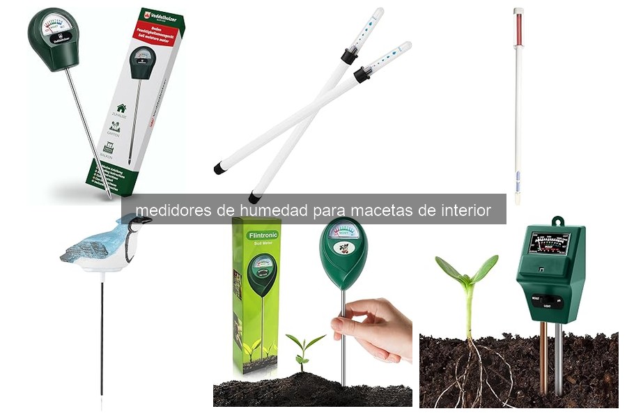 ¿Qué es un medidor de humedad para macetas de interior?
