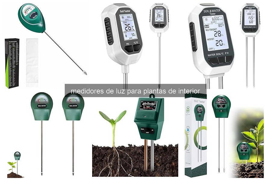 ¿Qué es un medidor de luz para plantas de interior?