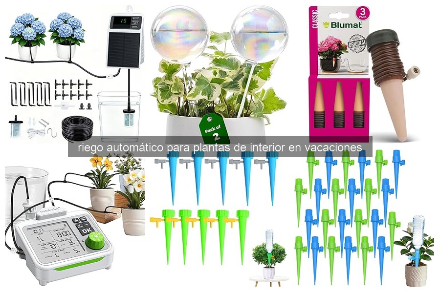 ¿Qué es un riego automático para plantas de interior?