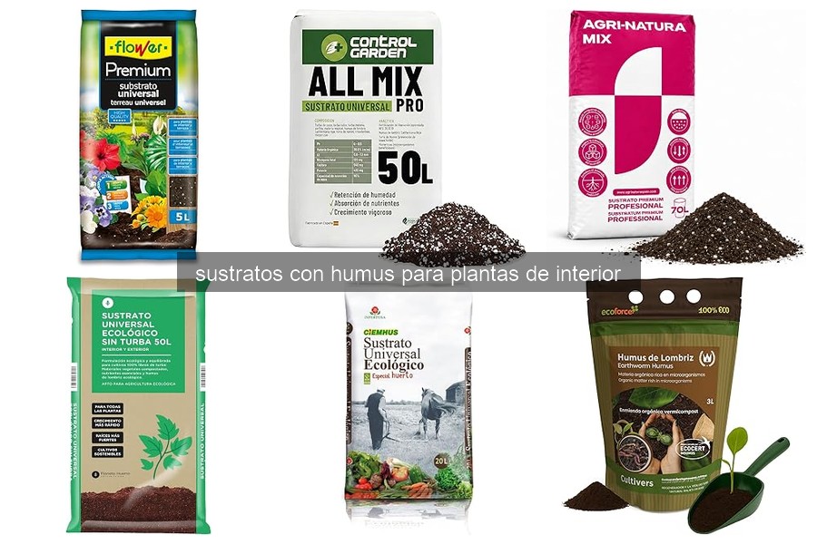 Qué es un sustrato con humus y sus beneficios para plantas
