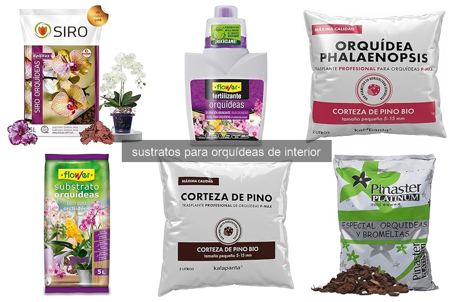 ¿Qué es un sustrato para orquídeas y su importancia?