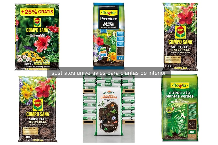 ¿Qué es un sustrato universal para plantas de interior?