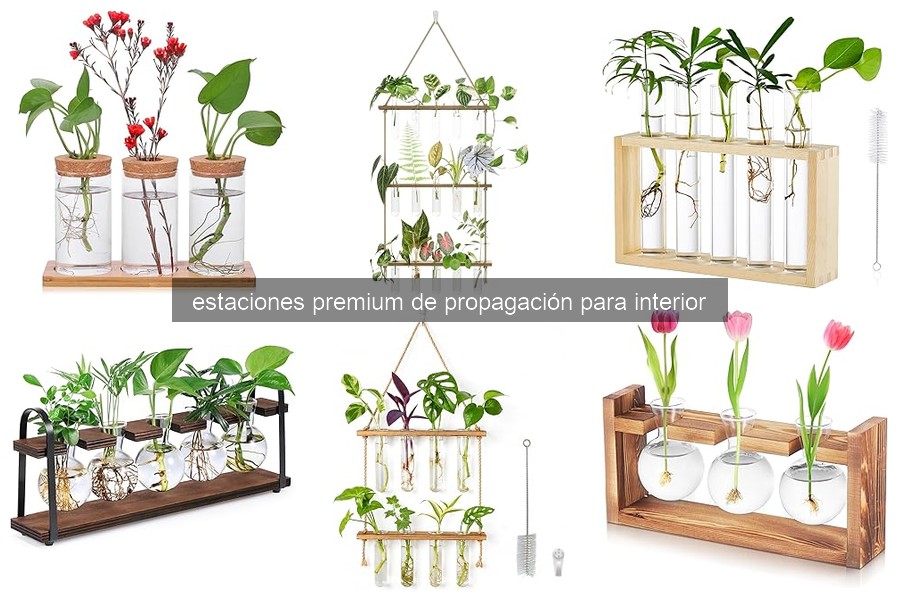¿Qué es una estación premium de propagación para interior?