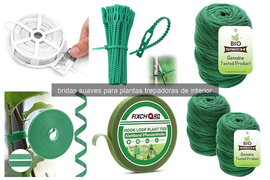 ¿Qué son las bridas suaves para plantas trepadoras?