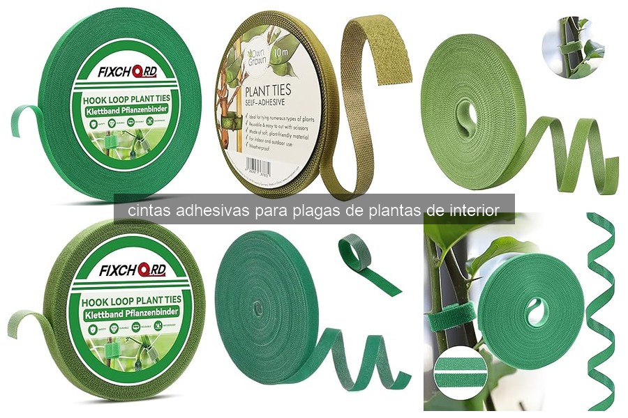 ¿Qué son las cintas adhesivas para plagas de plantas de interior?
