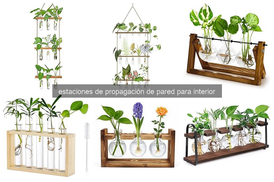 ¿Qué son las estaciones de propagación de pared para interior?