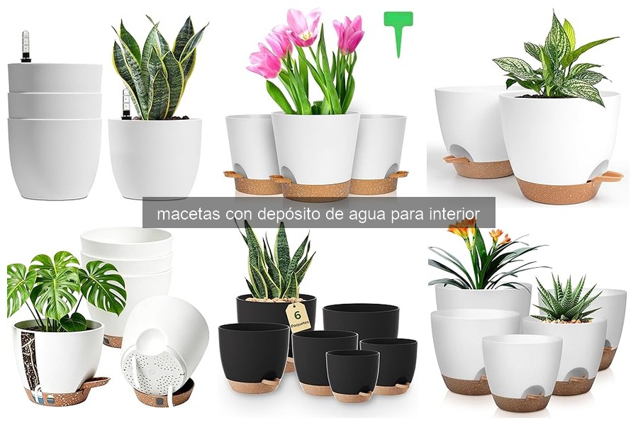 ¿Qué son las macetas con depósito de agua para interior?
