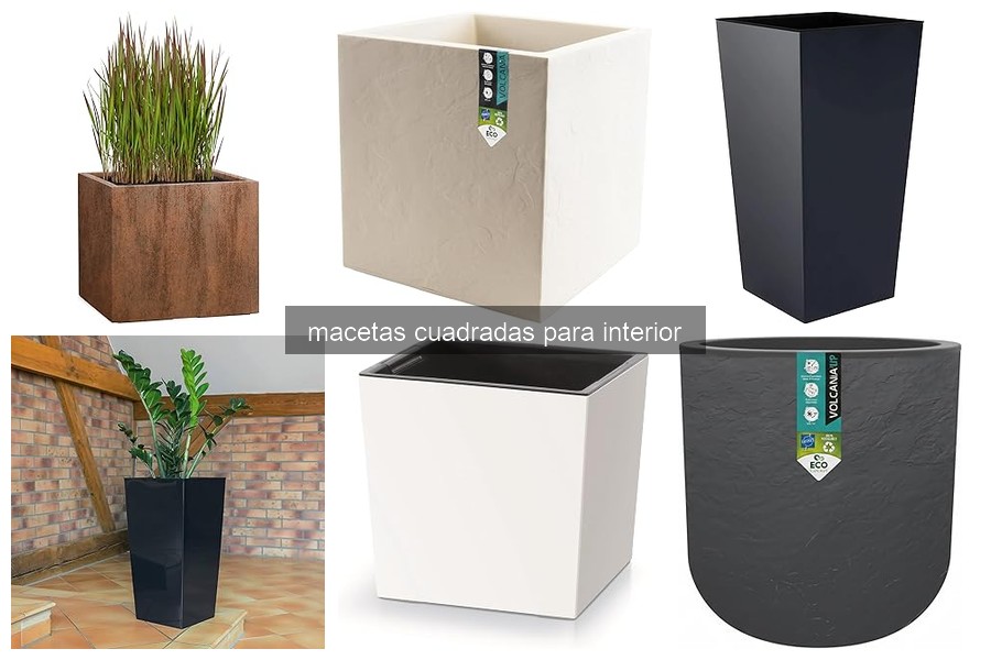 ¿Qué son las macetas cuadradas para interior?